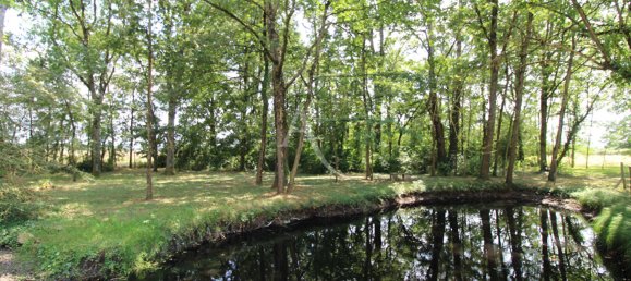 4 bedrooms House in Chaumont-sur-Loire, France No. 261327 2