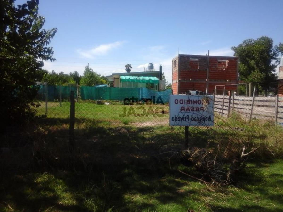 Grundstück in Campo Creado, Argentina, Nr. 49859