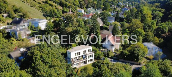4 bedrooms House in Klosterneuburg, Austria No. 250102 2