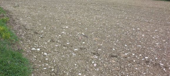 Grundstück in Urbisaglia, Italy 62000m², Nr. 254520 4