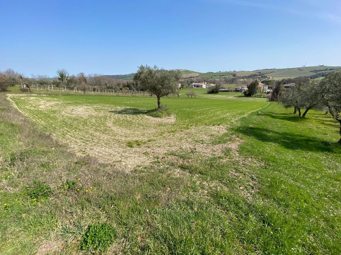 Grundstück in Urbisaglia, Italy 62000m², Nr. 254520