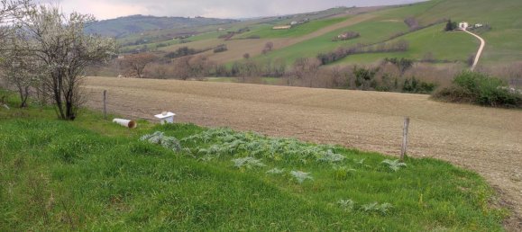 Grundstück in Urbisaglia, Italy 62000m², Nr. 254520 3