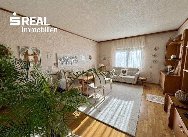 8 rooms House in Traiskirchen, Austria No. 151596
