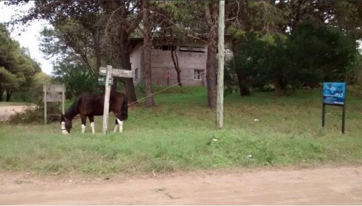 Terreno en Mar del Plata, Argentina No. 118609