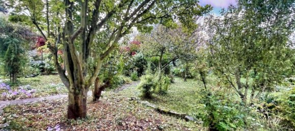 1 غرف نوم بنغالو في Kyffhauserkreis, Germany رقم 30739 2