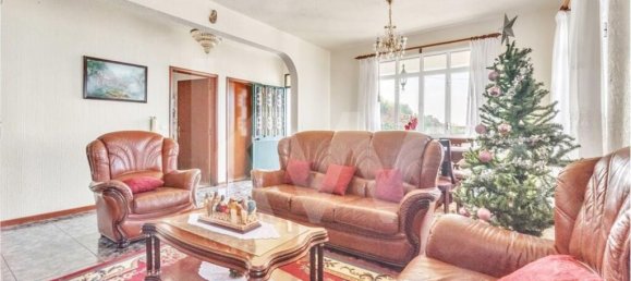 2 bedrooms House in Ribeira Brava, Portugal No. 77797 12