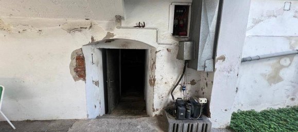 Commercial property in Sudoststeiermark, Austria No. 105501 23