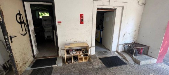 Commercial property in Sudoststeiermark, Austria No. 105501 22