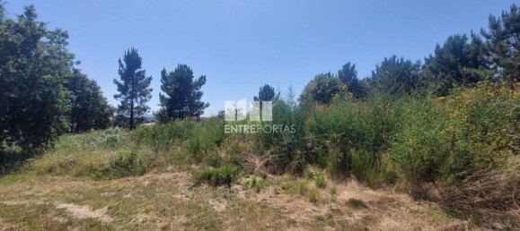 Grundstück in Viana do Castelo, Portugal 8227m², Nr. 78515 7