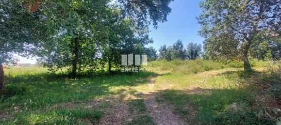 Grundstück in Viana do Castelo, Portugal 8227m², Nr. 78515 25