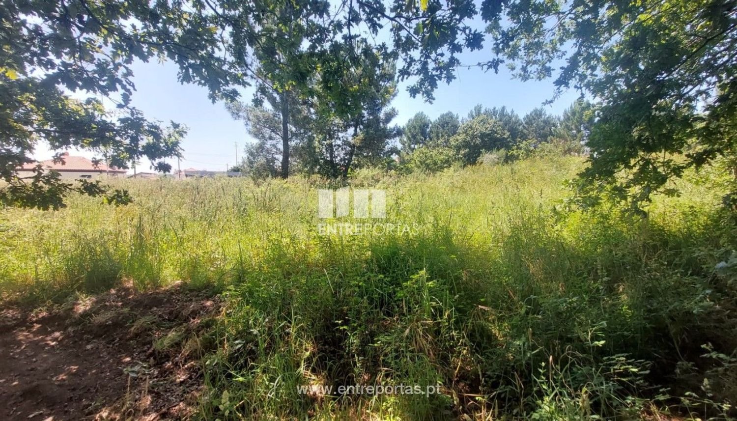 Grundstück in Viana do Castelo, Portugal 8227m², Nr. 78515