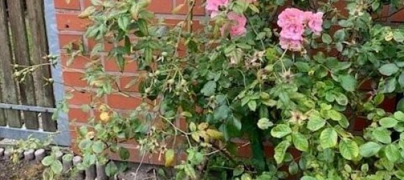 6-salle Maison de ville à Prignitz, Germany No. 360922 16