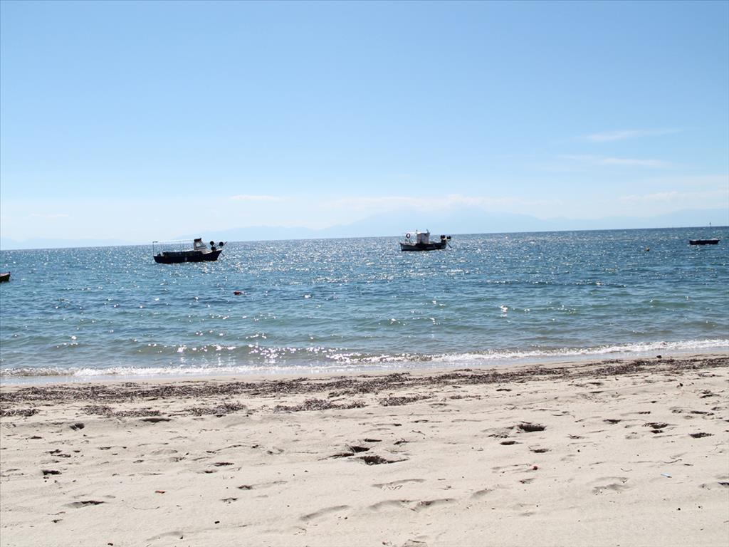 1800m² Hotel in Chalkidiki, Greece No. 8105