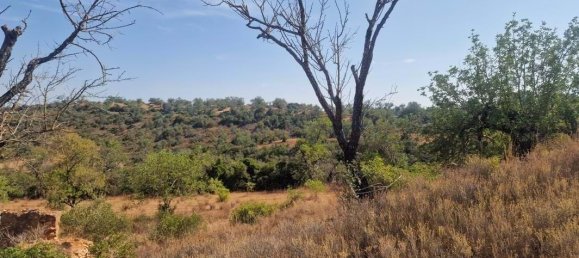 5 bedrooms Land in Loule, Portugal No. 137812 3