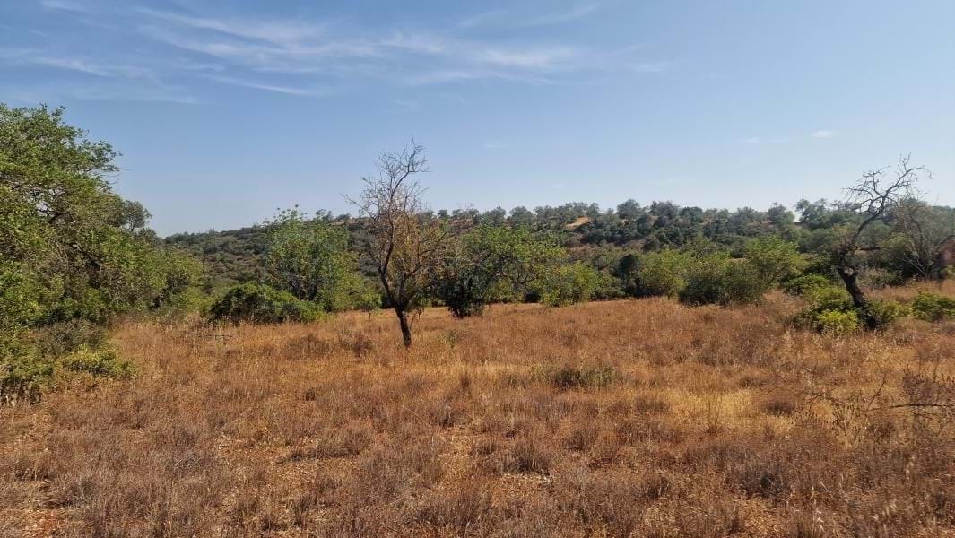 5 bedrooms Land in Loule, Portugal No. 137812