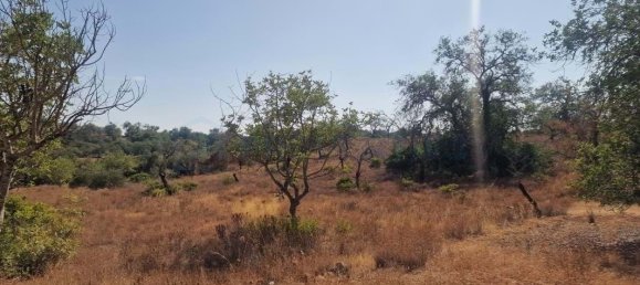 5 bedrooms Land in Loule, Portugal No. 137812 6