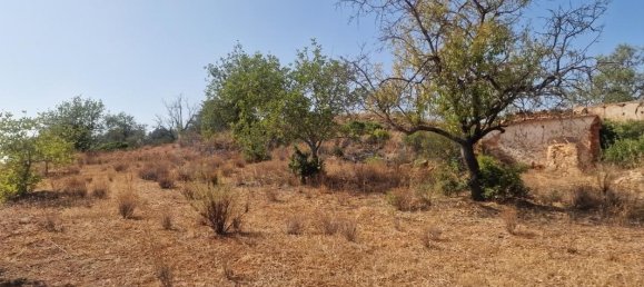 5 bedrooms Land in Loule, Portugal No. 137812 11