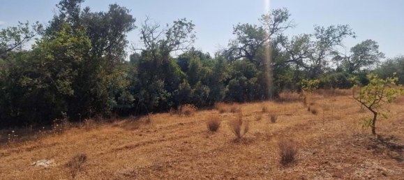 5 bedrooms Land in Loule, Portugal No. 137812 16