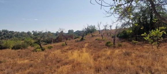 5 bedrooms Land in Loule, Portugal No. 137812 21