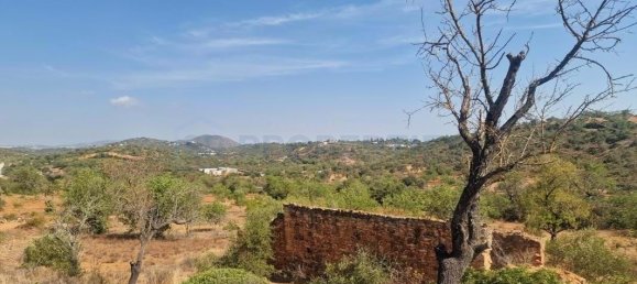 5 bedrooms Land in Loule, Portugal No. 137812 9