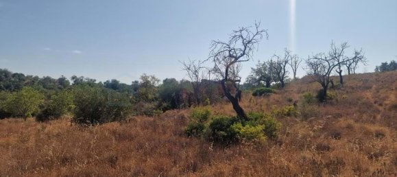 5 bedrooms Land in Loule, Portugal No. 137812 22