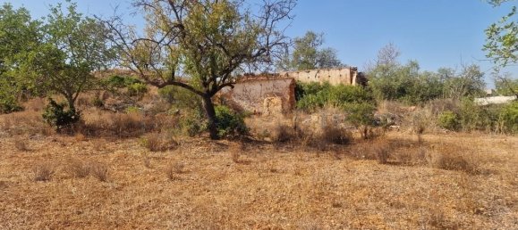 5 bedrooms Land in Loule, Portugal No. 137812 4