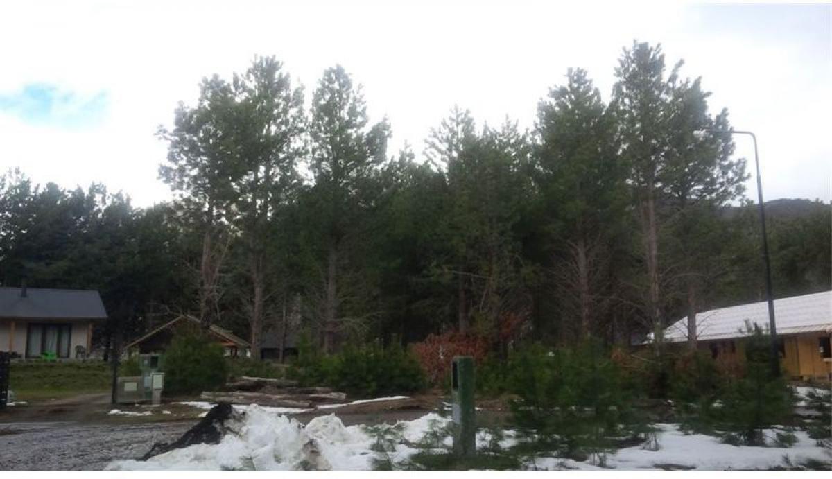  Land in Neuquen, Argentina No. 49507