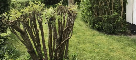 2 غرف نوم منزل في Schleswig-Holstein, Germany رقم 24440 14