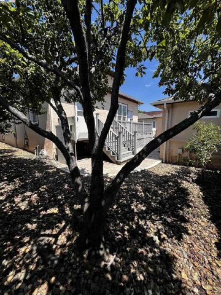 3 bedrooms House in Fremont, USA No. 429863