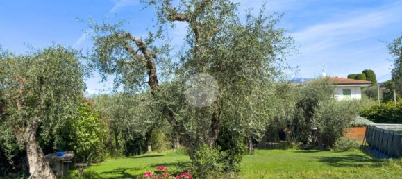 1 bedroom Villa in Bardolino, Italy No. 336795 24