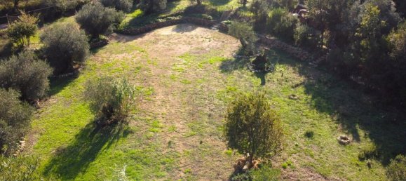 1 bedroom Villa in Corfu, Greece No. 1501 8