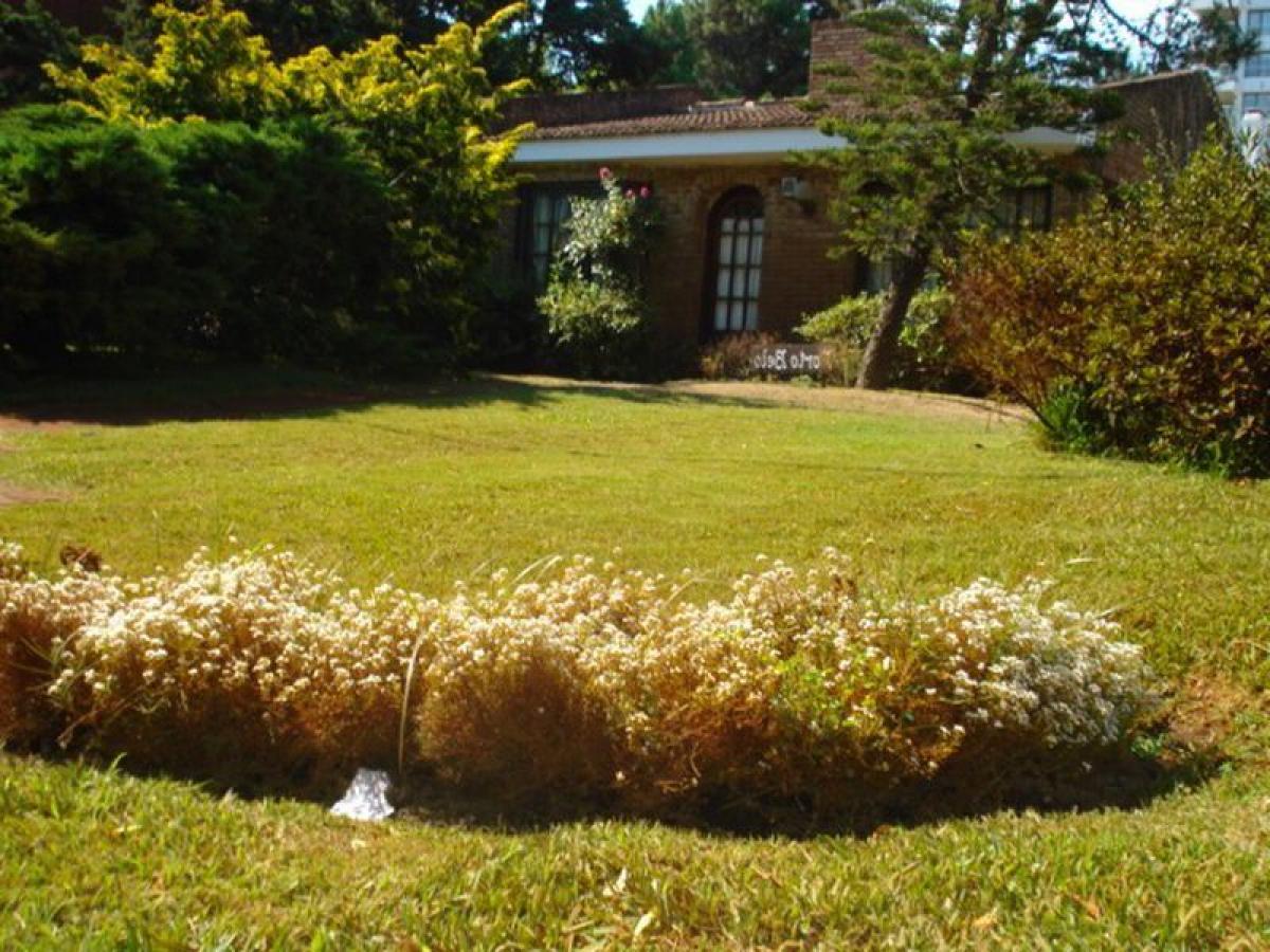 3 Schlafzimmer Haus in Maldonado, Uruguay, Nr. 4685