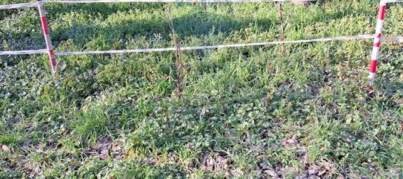 1 room Garage in Pavia, Italy No. 32126 6