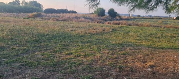  Hotel in Zakynthos, Greece No. 8516 5