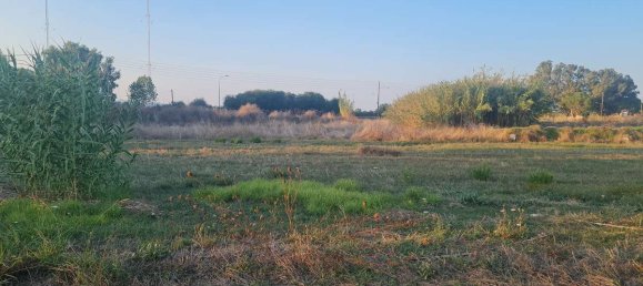  Hotel in Zakynthos, Greece No. 8516 7