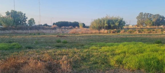  Hotel in Zakynthos, Greece No. 8516 4