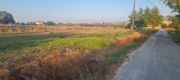  Hotel in Zakynthos, Greece No. 8516 6