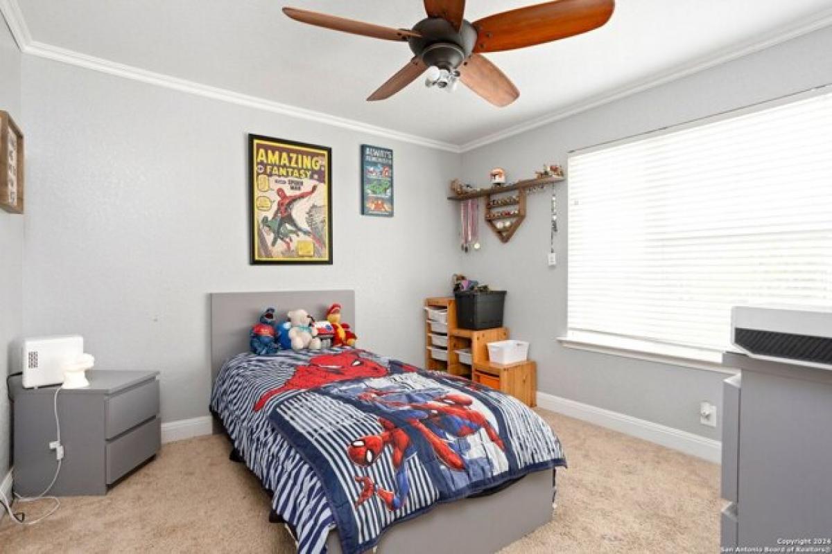 5 bedrooms House in San Antonio, USA No. 386570