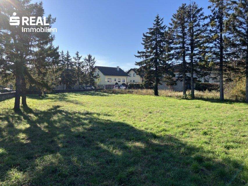  Land in Sollenau, Austria No. 231197