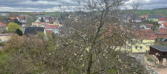 5 rooms House in Sachsische Schweiz-Osterzgebirge, Germany No. 230808 14