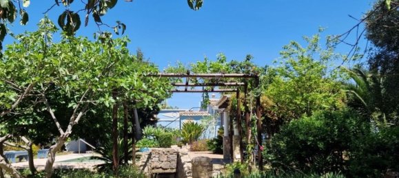 4 bedrooms House in Sao Bras de Alportel, Portugal No. 57315 49