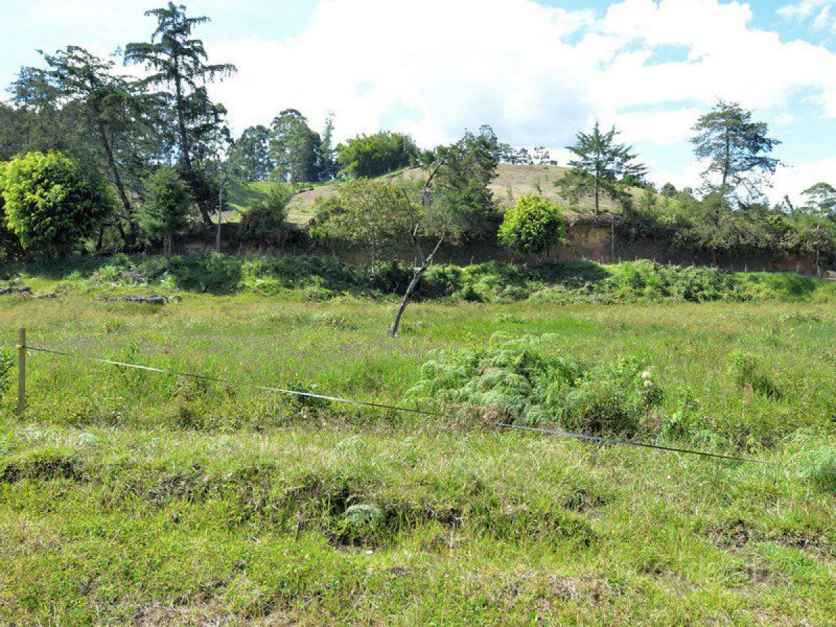  Land in Antioquia, Colombia No. 297
