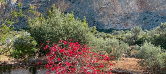 2 Schlafzimmer Haus in Bergedorf, Germany, Nr. 247264 5