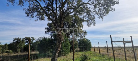  قطعة أرض في Montijo, Portugal 44750متر مربع رقم 98793 8