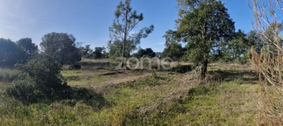  قطعة أرض في Montijo, Portugal 44750متر مربع رقم 98793 23