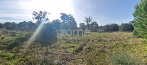  قطعة أرض في Montijo, Portugal 44750متر مربع رقم 98793 41