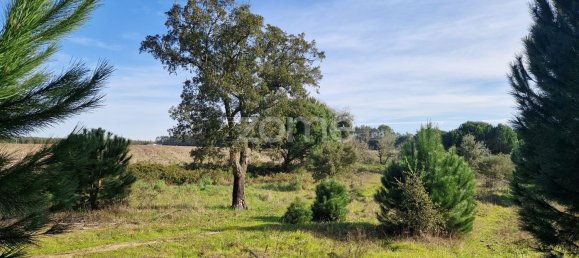  قطعة أرض في Montijo, Portugal 44750متر مربع رقم 98793 34