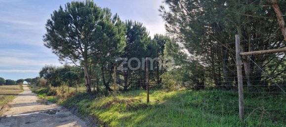  قطعة أرض في Montijo, Portugal 44750متر مربع رقم 98793 11