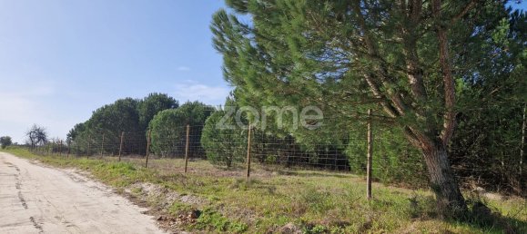  قطعة أرض في Montijo, Portugal 44750متر مربع رقم 98793 10