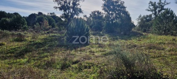  قطعة أرض في Montijo, Portugal 44750متر مربع رقم 98793 9